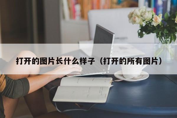 打开的图片长什么样子（打开的所有图片）
